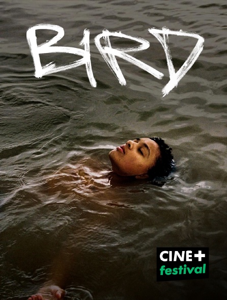 CINE+ Festival - Bird