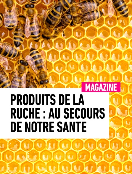 Produits de la ruche : au secours de notre santé