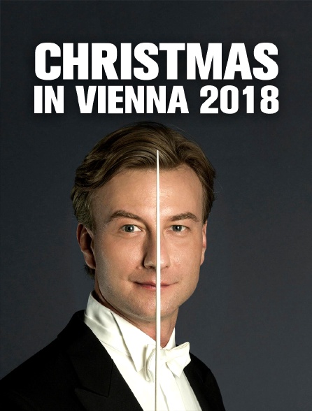 Christmas in Vienna 2018