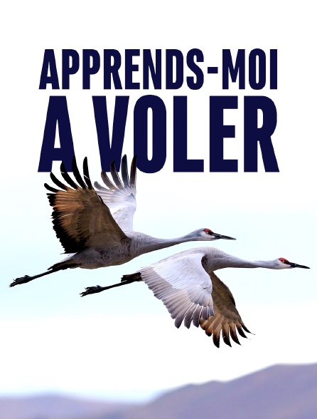 Apprends-moi à voler