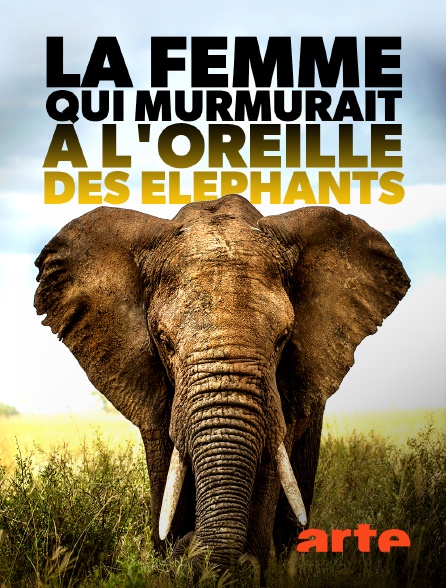 Arte - La femme qui murmurait à l'oreille des éléphants