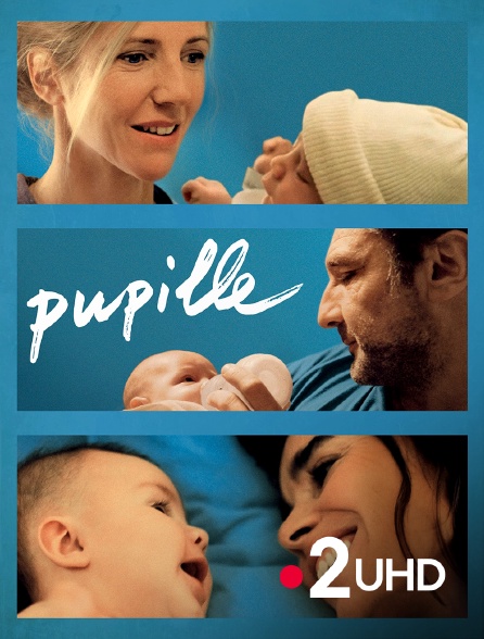 France 2 UHD - Pupille