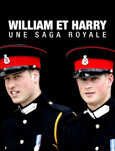 William et Harry, une saga royale