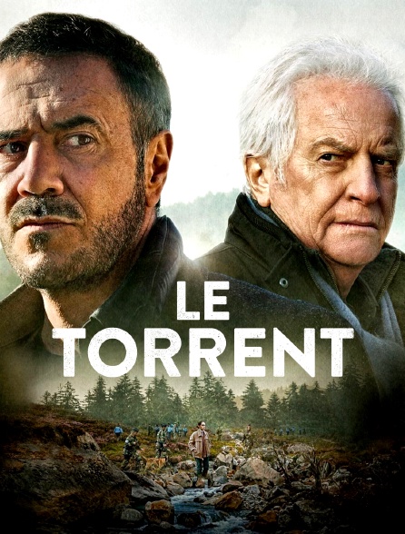 Le torrent