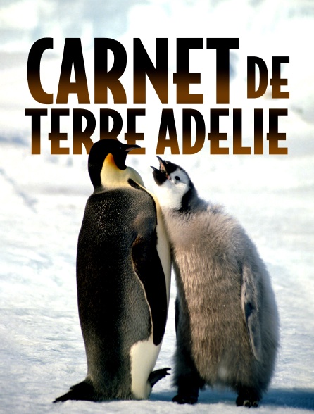 Carnet de Terre Adélie