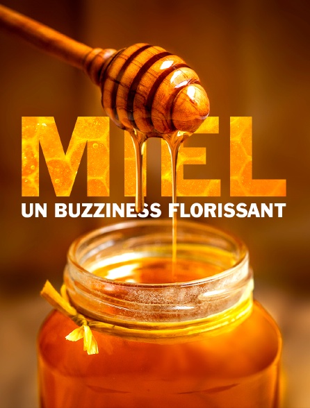 Miel : un buzziness florissant