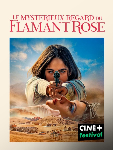 CINE+ Festival - Le Mystérieux regard du flamant rose