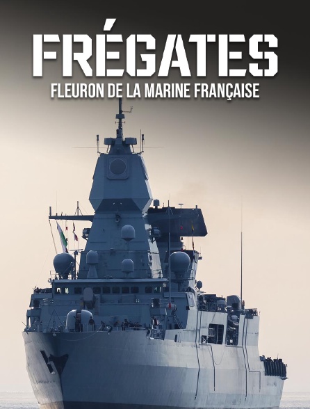 Frégates : fleuron de la marine française