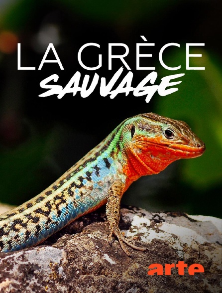Arte - La Grèce sauvage