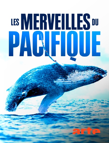 Arte - Les merveilles du Pacifique