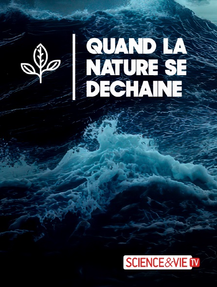 Science et Vie TV - Quand la nature se déchaîne