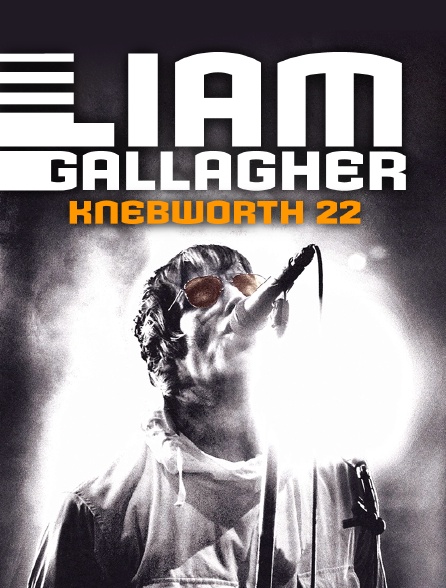 Liam Gallagher en concert: Knebworth 22