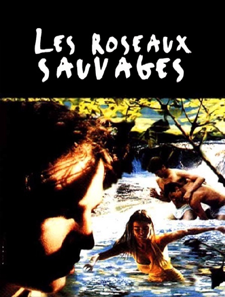 Les roseaux sauvages