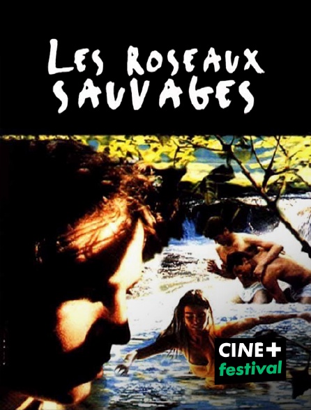 CINE+ Festival - Les roseaux sauvages