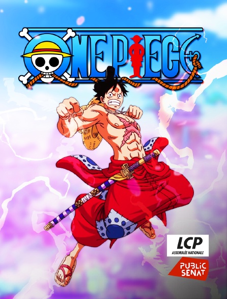 LCP Public Sénat - One Piece