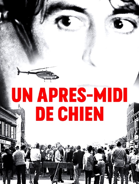 Un après-midi de chien