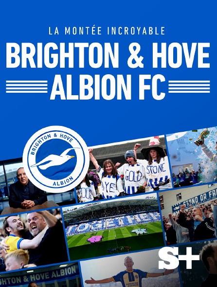 Society+ - Brighton & Hove Albion FC : la montée incroyable