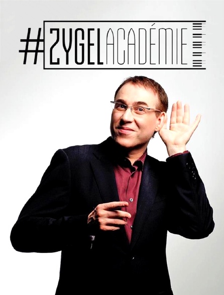 Zygel Académie