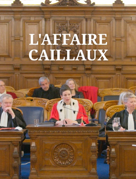 L'affaire Caillaux