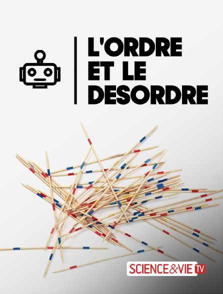 Science et Vie TV - L'ordre et le désordre