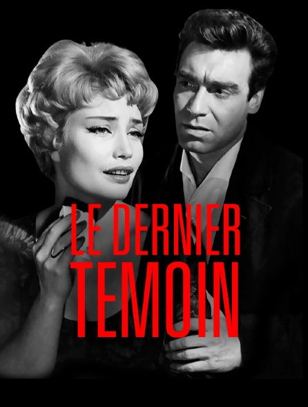 Le dernier témoin