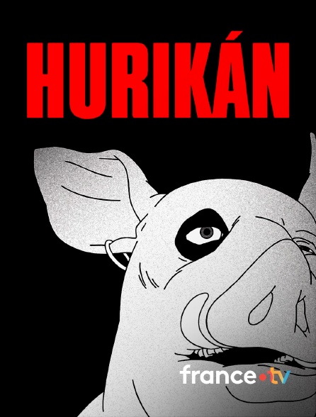 france.tv - Hurikán