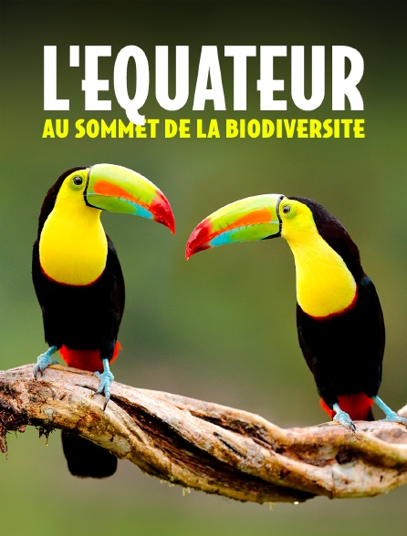 L'Equateur, au sommet de la biodiversité : De l'Amazonie aux volcans andins