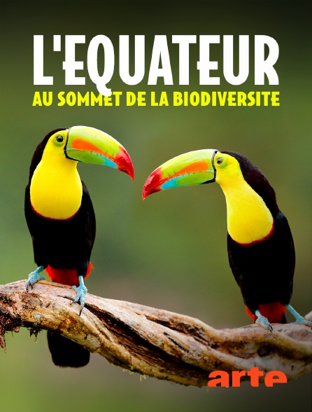 Arte - L'Equateur, au sommet de la biodiversité : De l'Amazonie aux volcans andins