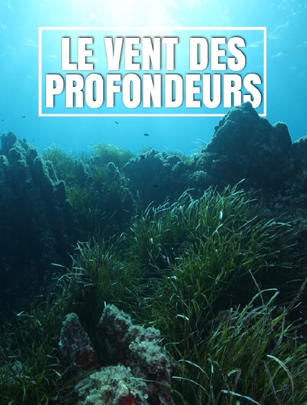 Le vent des profondeurs