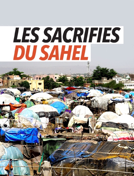 Mali, les sacrifiés du Sahel