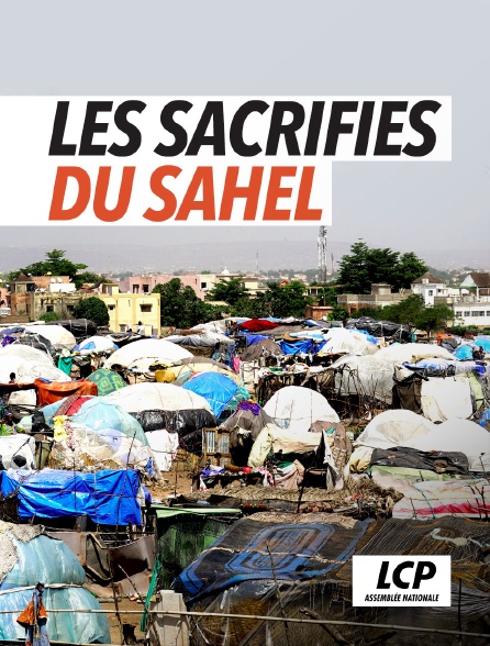 LCP 100% - Mali, les sacrifiés du Sahel