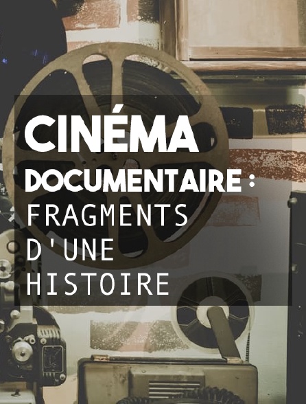 Cinéma documentaire : fragments d'une histoire