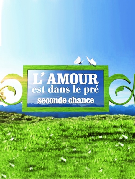 L Amour Est Dans Le Pre Seconde Chance En Streaming Molotov Tv