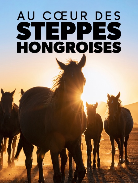 Sauvages chevaux de la Puszta : Au coeur des steppes hongroises