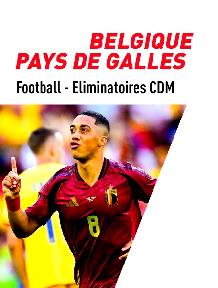 Football - Eliminatoires de la Coupe du Monde : Belgique / Pays de Galles