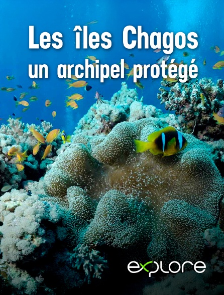 EXPLORE - Les îles Chagos, un archipel protégé