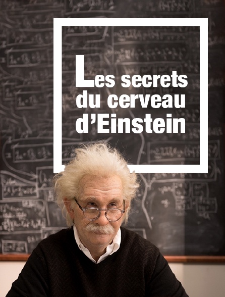 Les secrets du cerveau d'Einstein