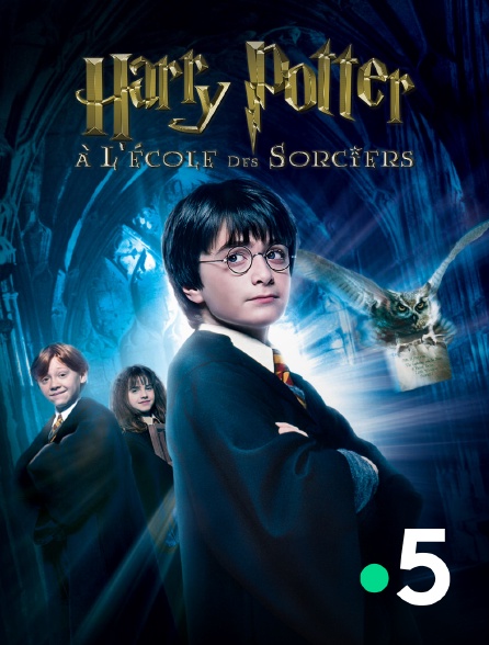 France 5 - Harry Potter à l'école des sorciers