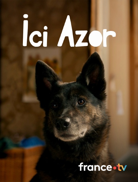 france.tv - Ici Azor