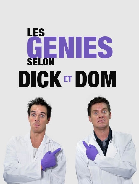 Les génies selon Dick et Dom