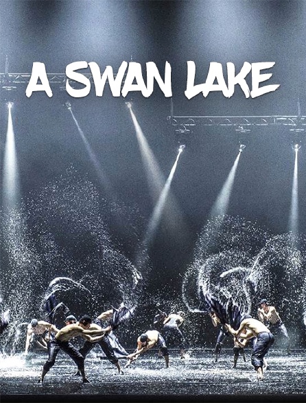 A Swan Lake