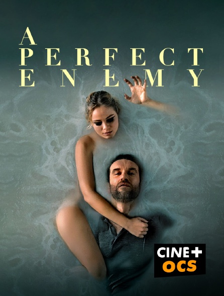 CINÉ Cinéma - A perfect enemy