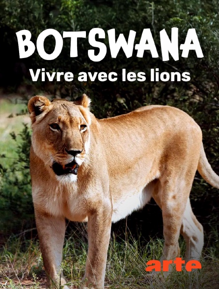 Arte - Botswana : Vivre avec les lions