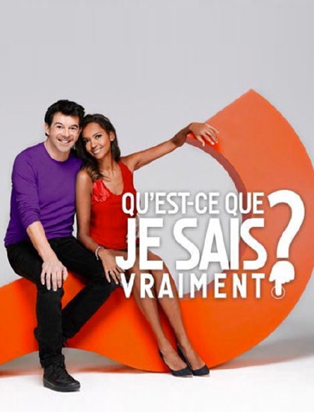 Qu'est-ce que je sais vraiment ?