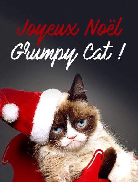 Joyeux Noël Grumpy Cat !