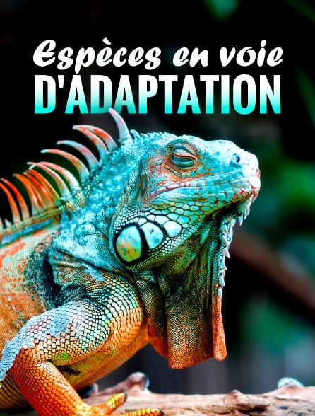 Espèces en voie d'adaptation