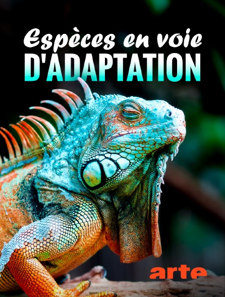 Arte - Espèces en voie d'adaptation