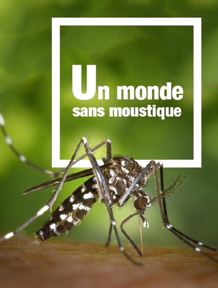 Un monde sans moustique