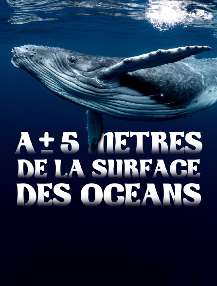 À +/- 5 mètres de la surface des océans