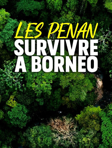 Les Penan, survivre à Bornéo